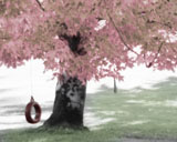 Hand Tint
