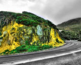 Hand Tint