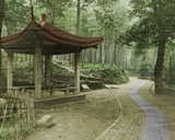 Hand Tint