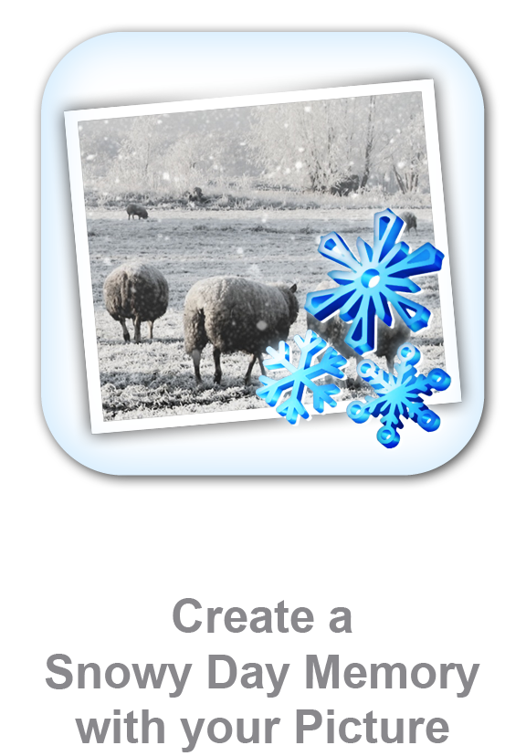 Snow Daze