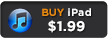 BUY iPad