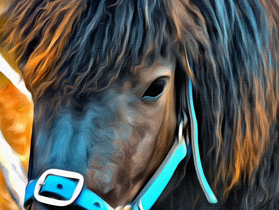Portrait Painter is a professional painting tool that automatically creates a finely painted gallery-style portrait from a photo or image