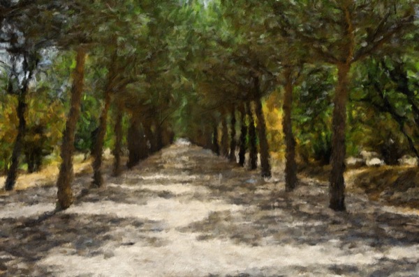 Impresso Studio sample IS025