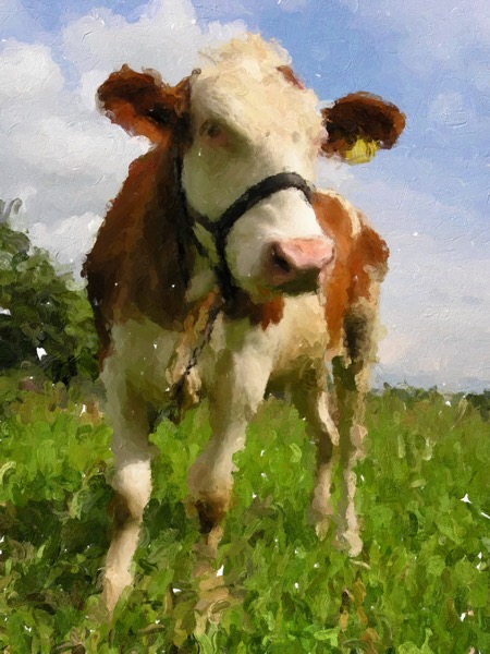 Impresso Studio sample IS028