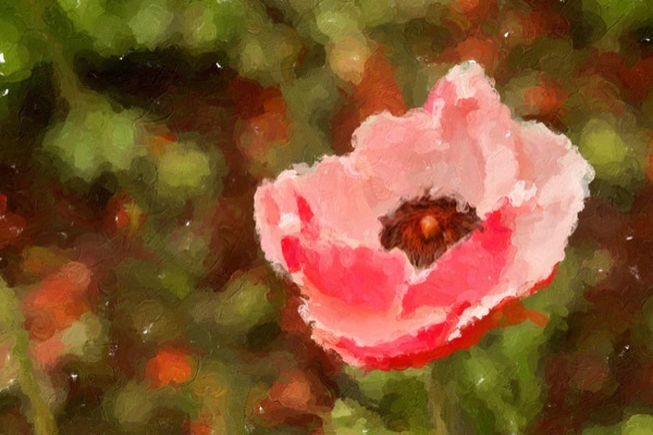 Impresso Studio sample IS051