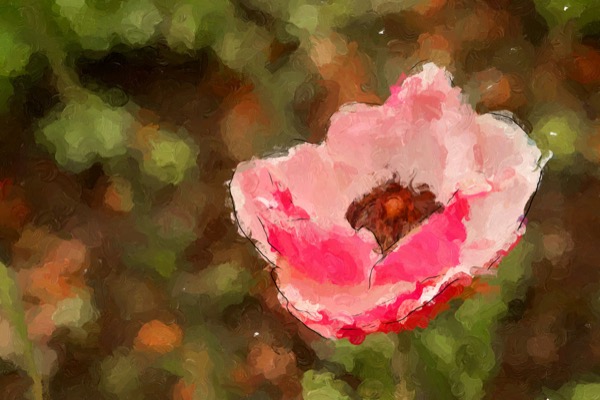 Impresso Studio sample IS112