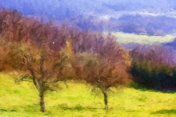 Impresso Studio sample IS129