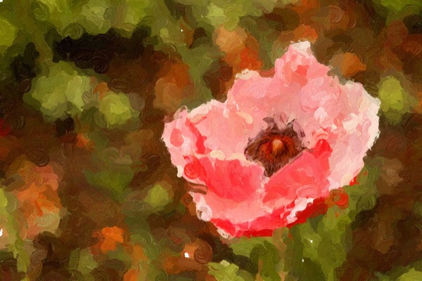 Impresso Studio sample IS161