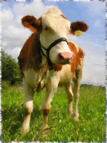 Country cow, painted in Impresso Studio