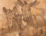 Artista Sketch